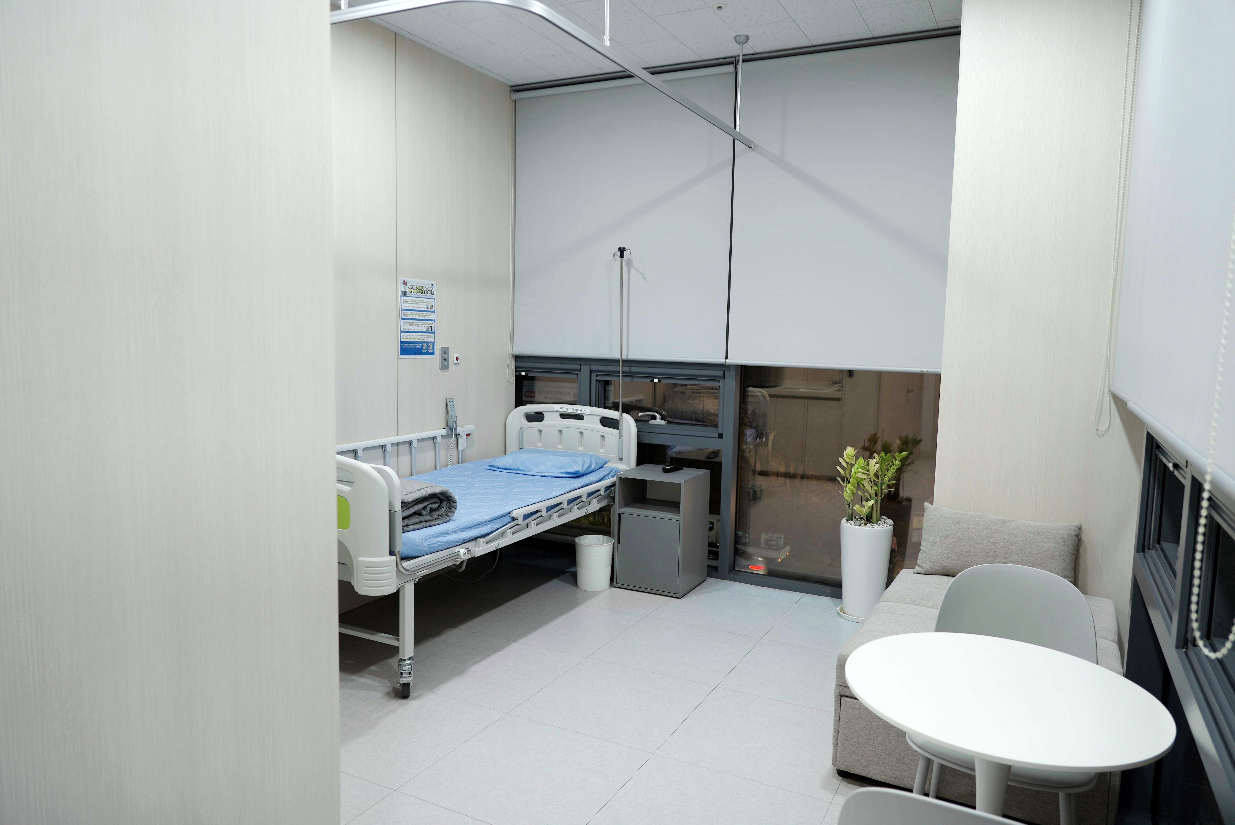 무지외반증보험